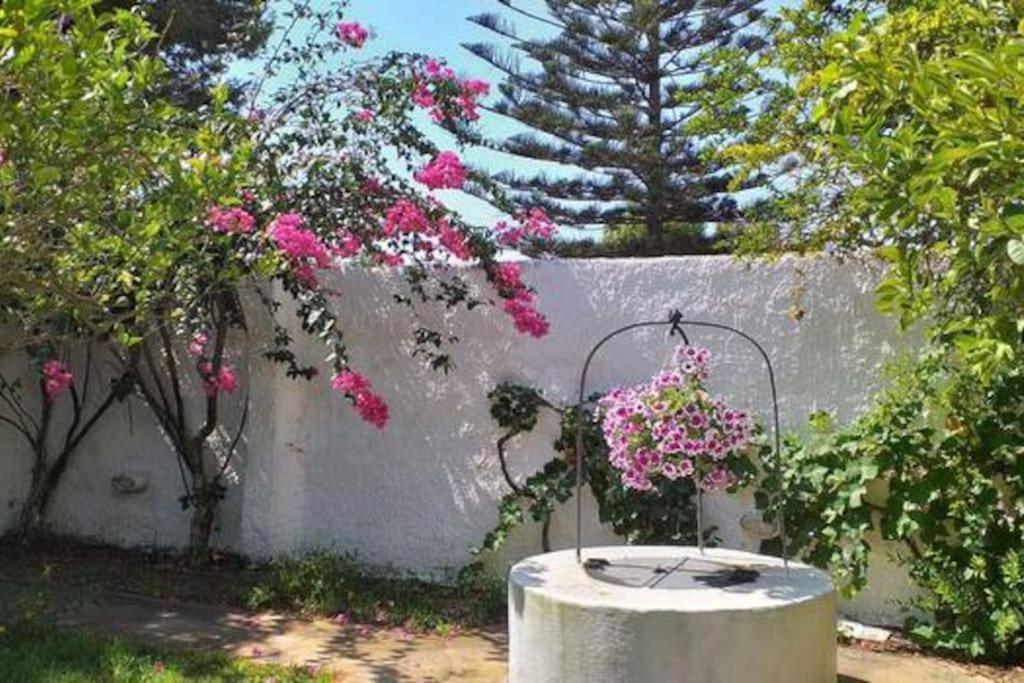 Villa Mozia Riserva Dello Stagnone Marsala Luaran gambar